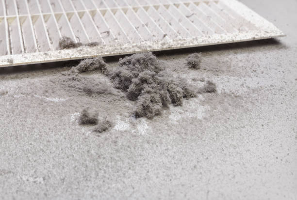 Best HVAC System Cleaning  in Lithia Springs, GA