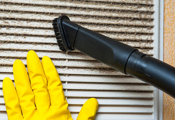 Air Duct Mold Removal in Lithia Springs, GA